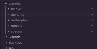 How VSCode displays the .vendex.
